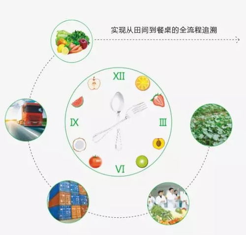 禾中味道 平面設(shè)計如何還你從田間到餐桌的真相